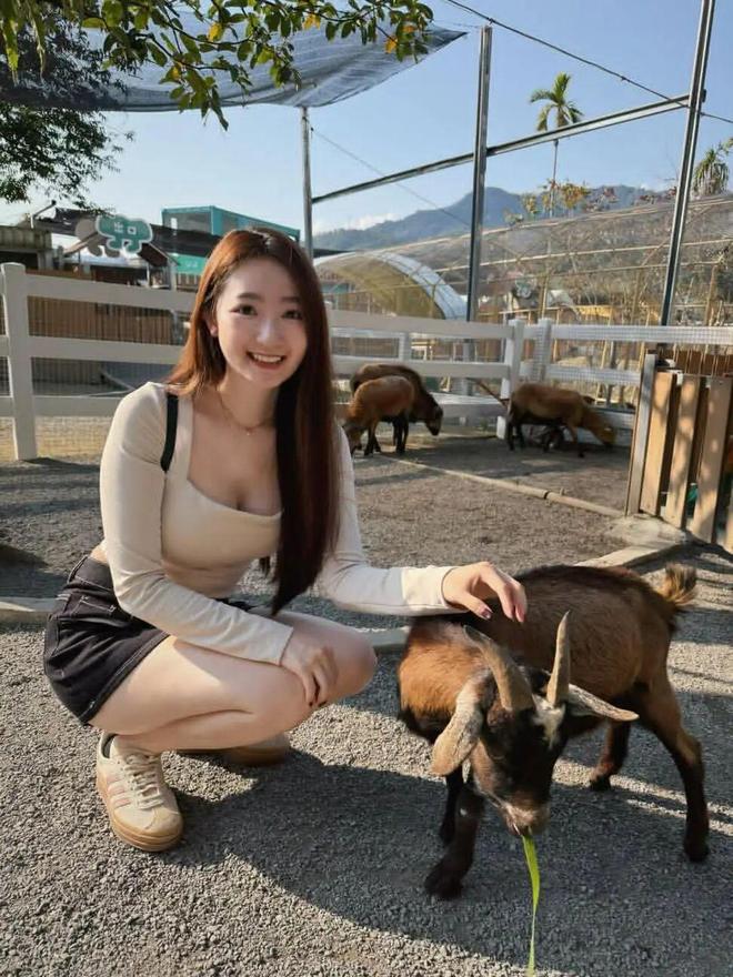 东契奇提前回归备战季后赛 火箭欲速战速决终结